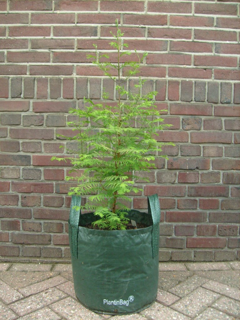 0.5m 2 1